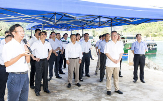 2019年6月21日上午，省長(zhǎng)沈曉明率省政府班子成員在三亞鐵爐港調(diào)研項(xiàng)目規(guī)劃建設(shè)情況。海南日?qǐng)?bào)記者 宋國(guó)強(qiáng) 攝