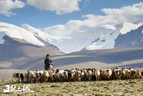 治愈你的不止曠野，更是真實的生活
