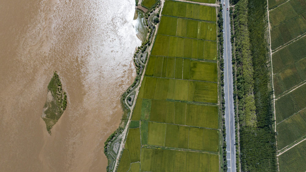 鏡觀·回響丨西部生態(tài)建設(shè):以高水平保護(hù)支撐高質(zhì)量發(fā)展