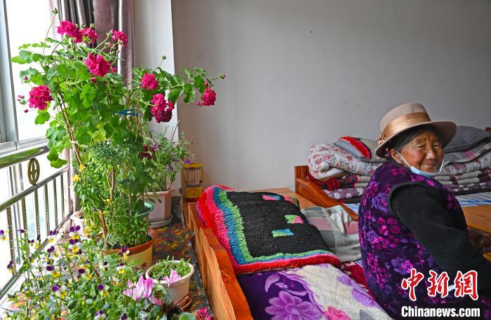 圖為曲松縣特困人員集中供養(yǎng)中心老人德吉卓嘎與她的花?！≮w朗 攝