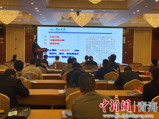 圖為論壇現(xiàn)場。李江寧攝