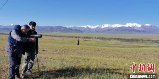 圖為工作人員正在進(jìn)行黑頸鶴衛(wèi)星跟蹤和環(huán)志工作?！∑钸B山國家公園青海省管理局供圖 攝