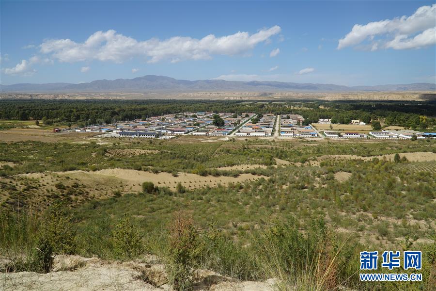 （決戰(zhàn)決勝脫貧攻堅(jiān)·圖文互動）（2）高原鄉(xiāng)鎮(zhèn)沙珠玉 治沙斗貧成“綠?！薄嗪Ｊ」埠涂h沙珠玉鄉(xiāng)采訪見聞