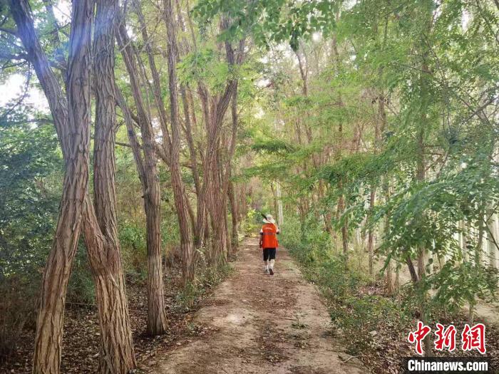 戈壁灘上的護(hù)林員：以前風(fēng)吹睜不開眼，現(xiàn)在滿眼皆綠色