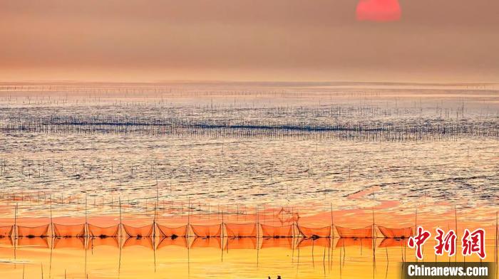 江蘇鹽城被譽(yù)為金灘銀蕩、魚米之鄉(xiāng)?！←}城市委宣傳部供圖