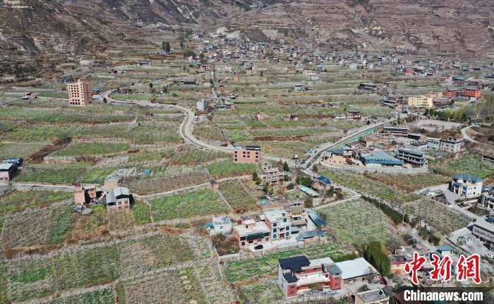 潔白的李花與村寨交相輝映，勾勒出一幅美麗的和諧生態(tài)畫卷?！『吻搴?攝