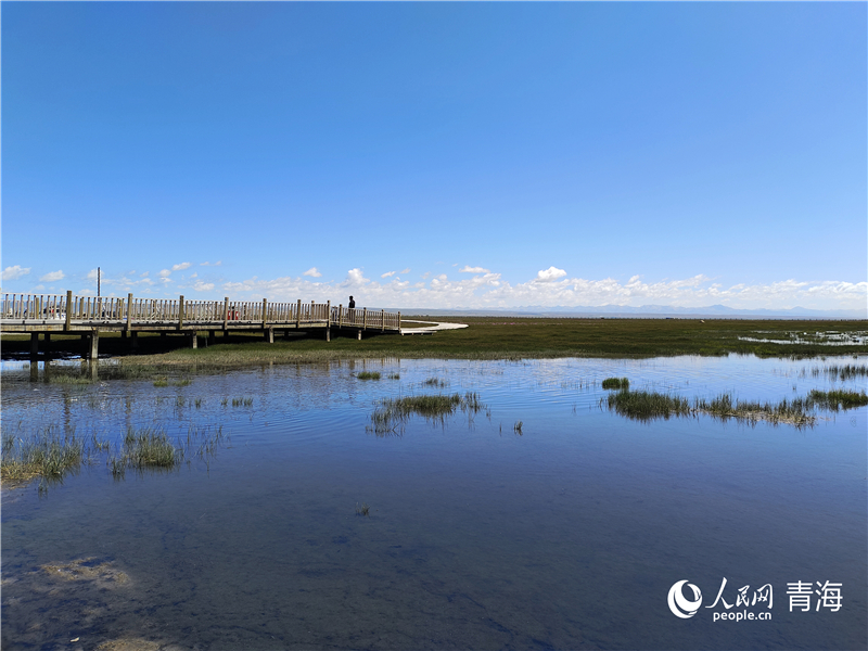   青海湖仙女灣。人民網(wǎng) 張莉萍攝