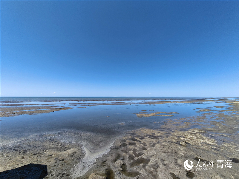   青海湖仙女灣。人民網(wǎng) 張莉萍攝