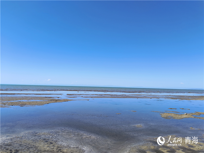   青海湖仙女灣。人民網(wǎng) 張莉萍攝