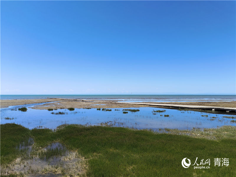   青海湖仙女灣。人民網(wǎng) 張莉萍攝