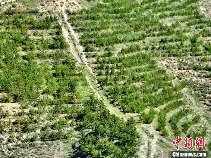 航拍建行青海省分行綠化區(qū)?！∑钤鲚?攝