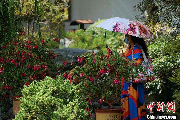 圖為市民在西寧園林植物園內(nèi)賞花拍照?！●R銘言 攝