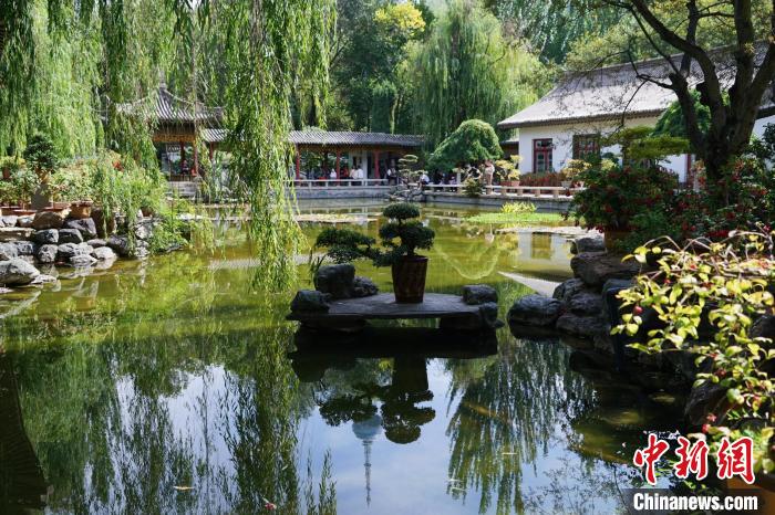 圖為西寧園林植物園秋日風(fēng)景別有韻味?！●R銘言 攝