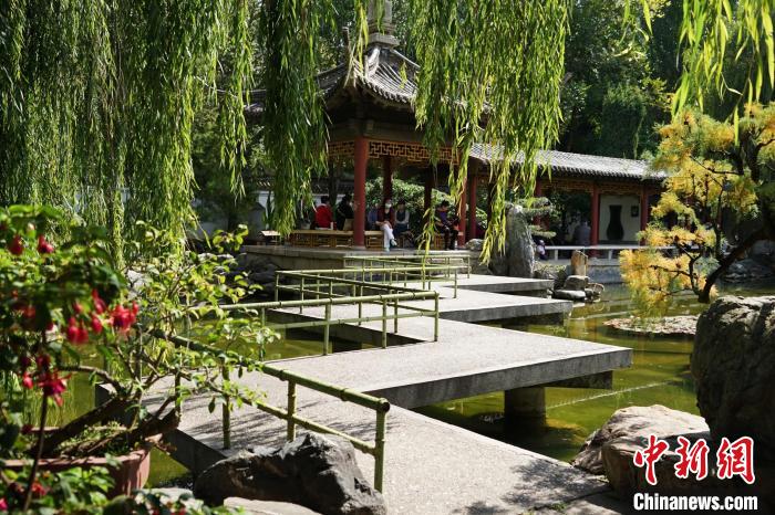 圖為西寧園林植物園秋日風(fēng)景別有韻味?！●R銘言 攝