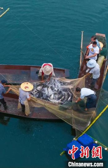 捕魚現(xiàn)場?！≈鬓k方供圖