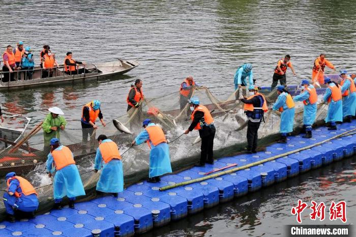 捕撈現(xiàn)場?！≈鬓k方供圖