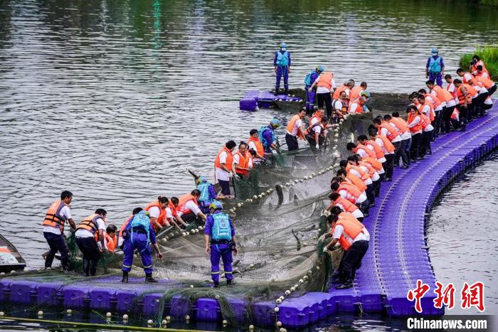 捕撈現(xiàn)場?！≈鬓k方供圖