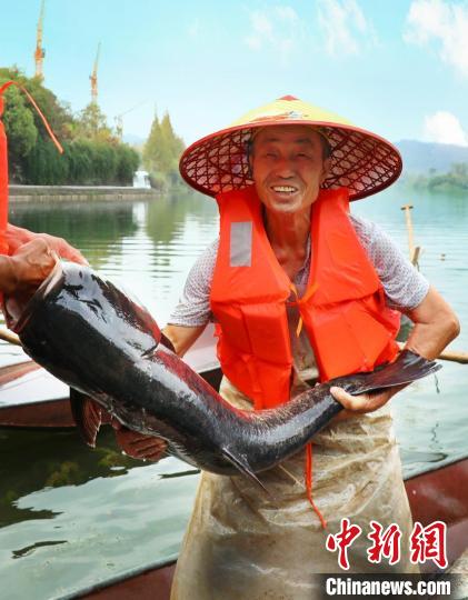 工作人員展示捕撈成果?！≈鬓k方供圖