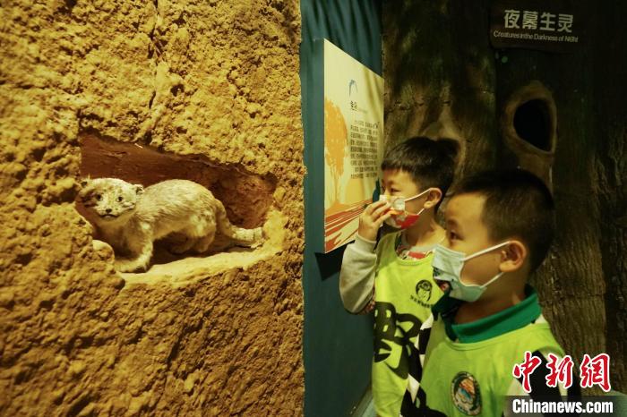 圖為小朋友在青海西寧湟水國家濕地公園科普館內(nèi)參觀學(xué)習(xí)。　馬銘言 攝