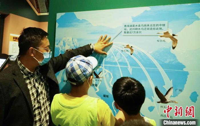 圖為小朋友在青海西寧湟水國家濕地公園科普館內(nèi)參觀學(xué)習(xí)?！●R銘言 攝