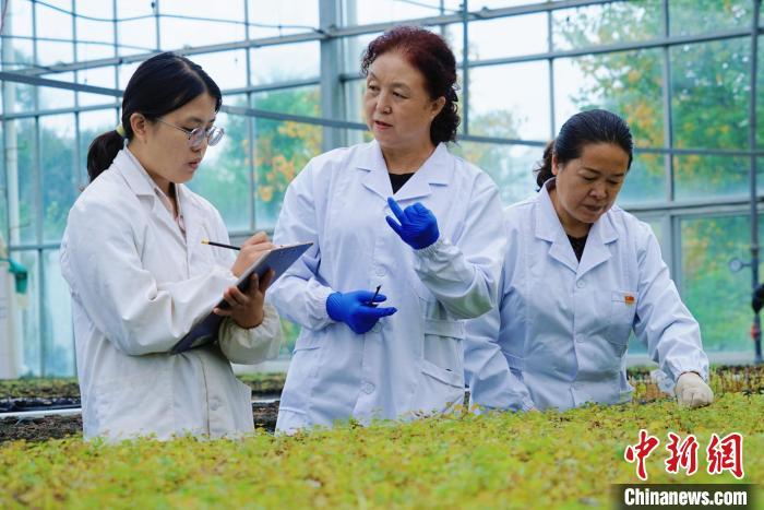 圖為張錦梅(中)與同事在討論數(shù)據(jù)。馬銘言 攝