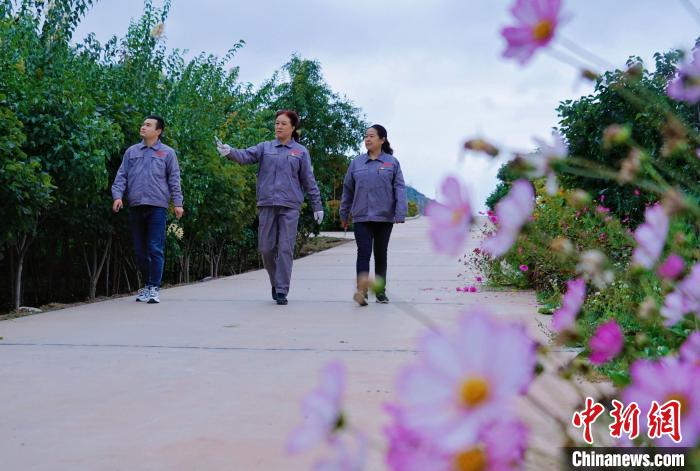 圖為張錦梅(中)與同事在西寧北山查看丁香樹?！●R銘言 攝