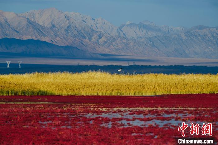 圖為柴達木盆地可魯克湖?！」?攝