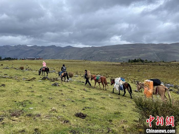 圖為9月26日游客騎馬領(lǐng)略尼汝村高原牧場風(fēng)光。 <a target='_blank' href='/'><p  align=