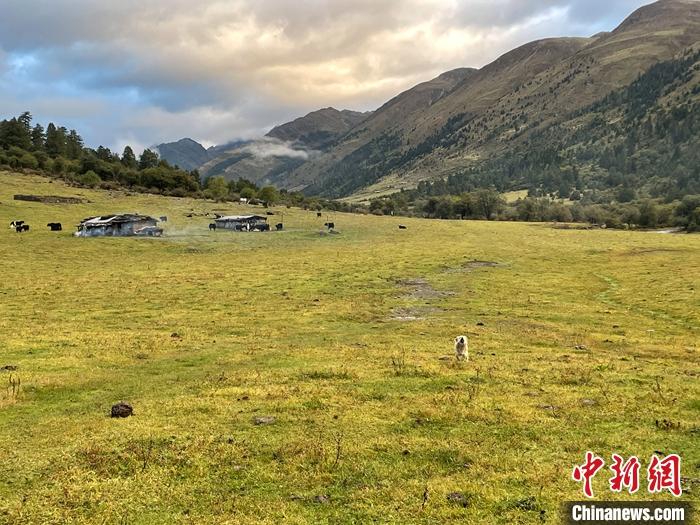 圖為9月27日新沾牧場的早晨景色。 <a target='_blank' href='/'><p  align=