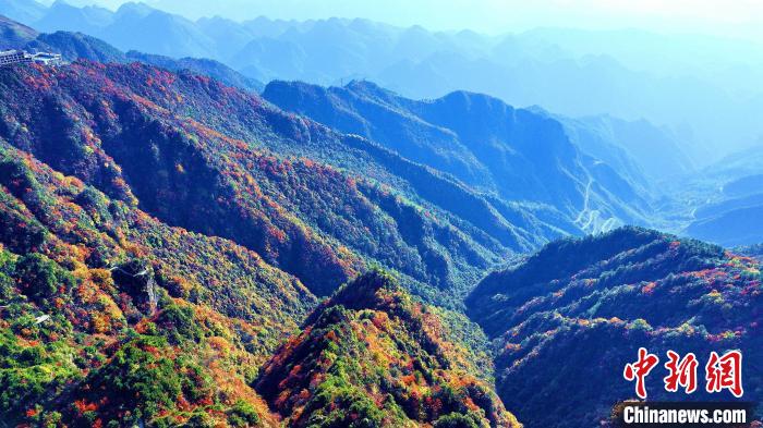 巴山大峽谷彩林迎來最佳觀賞期?！埰?攝