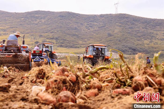 青海東部農(nóng)業(yè)區(qū)：“一分川、一分水、八分山”里“刨金記”