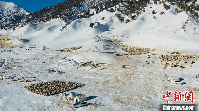 圖為無人機航拍牧場?！《继m縣融媒體中心供圖