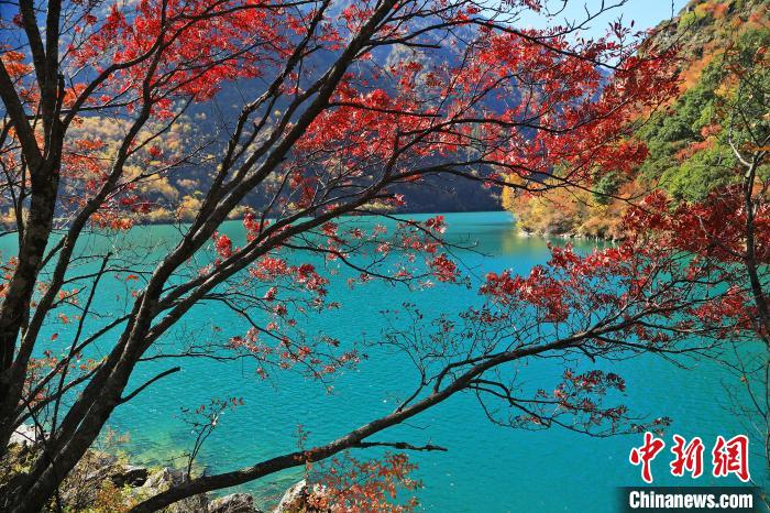 松坪溝風(fēng)光?！『吻搴?攝