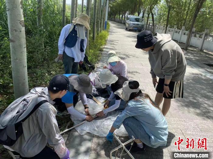 圖為科研人員正在進行監(jiān)測。　西寧湟水國家濕地公園供圖