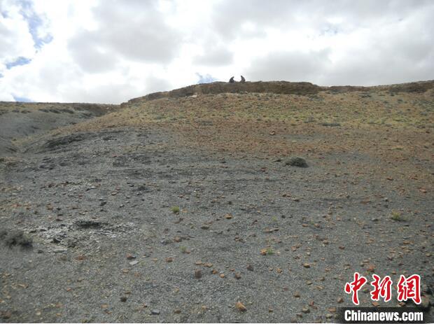 圖為本次研究的藏南曲布剖面二疊紀(jì)末期黑色頁巖。　南古所 供圖