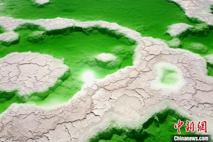 青?！拔鞔箝T”茫崖多舉措蓄能鹽湖產(chǎn)業(yè)發(fā)展