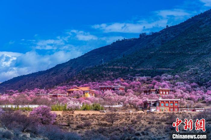 美麗的鄉(xiāng)村畫卷?！『涡秀?攝