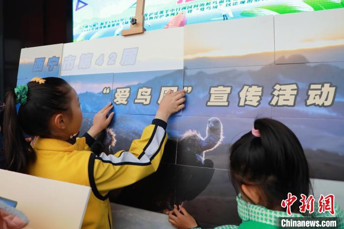 圖為學生通過拼圖游戲了解鳥類知識?！●R銘言 攝