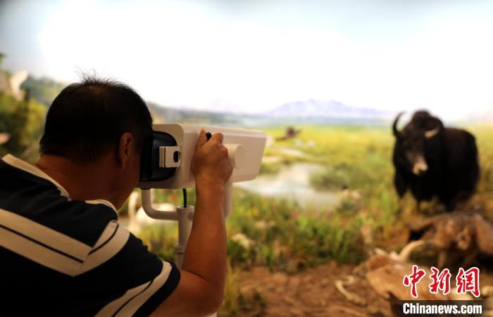 圖為臺商觀看祁連山國家公園生態(tài)科普館內(nèi)生態(tài)場景?！⊙Φ?攝