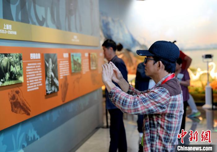 圖為臺商在祁連山國家公園生態(tài)科普館觀看墻面藝術(shù)圖文?！⊙Φ?攝