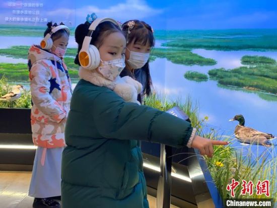 圖為學(xué)生在西寧市第一中學(xué)濕地科普宣教館內(nèi)參觀?！±罱瓕?攝