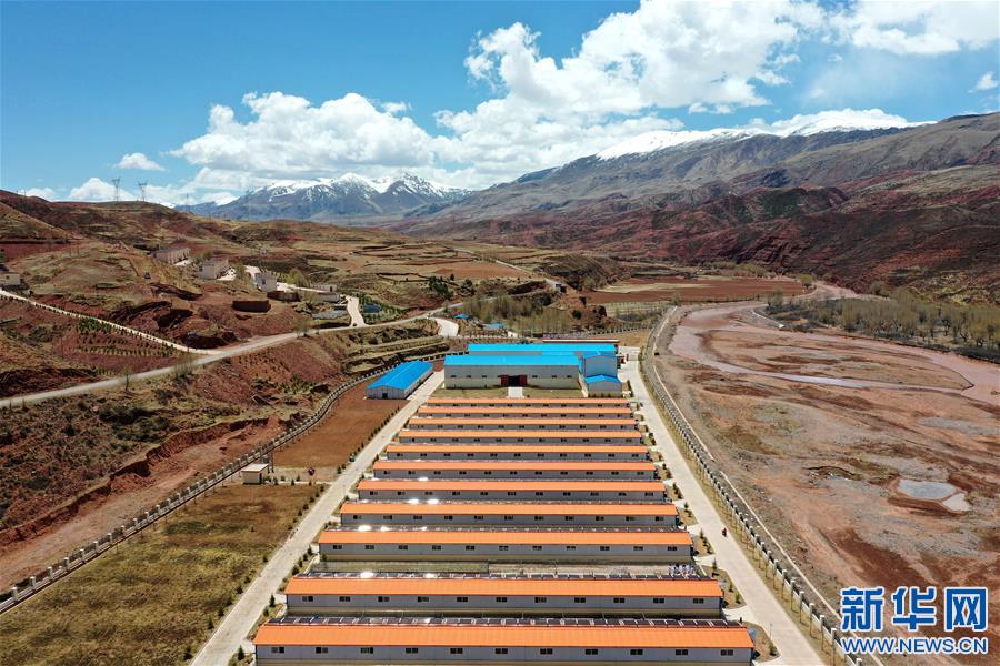 （決戰(zhàn)決勝脫貧攻堅(jiān)·圖文互動）（4）“阿旺綿羊”成就大產(chǎn)業(yè)——西藏貢覺縣做大做強(qiáng)扶貧產(chǎn)業(yè)見聞