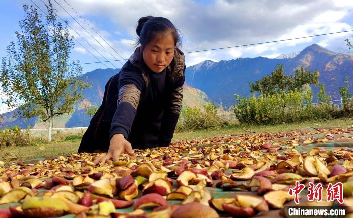 圖為通麥村村民巴桑拉姆晾曬切片蘋果?！∝暽＠?攝