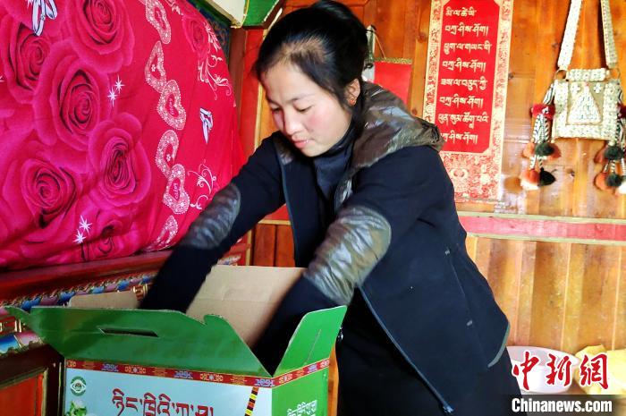 圖為通麥村村民巴桑拉姆把精心挑選的蘋果裝箱?！∝暽＠?攝