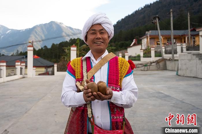 1月29日，京都村委會(huì)主任阿胖正在展示該村種植的獼猴桃。<a target='_blank' ><p  align=