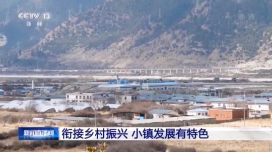 種蘑菇、養(yǎng)駱駝...。。特色產(chǎn)業(yè)助力鄉(xiāng)村振興走新路