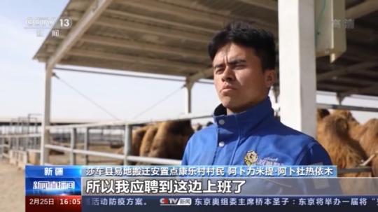 種蘑菇、養(yǎng)駱駝...。。特色產業(yè)助力鄉(xiāng)村振興走新路