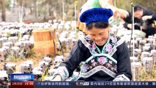 種蘑菇、養(yǎng)駱駝...。。特色產業(yè)助力鄉(xiāng)村振興走新路