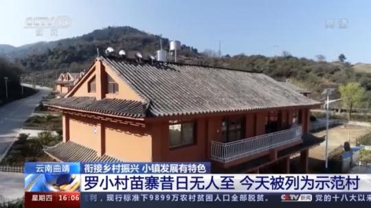 種蘑菇、養(yǎng)駱駝...。。特色產業(yè)助力鄉(xiāng)村振興走新路