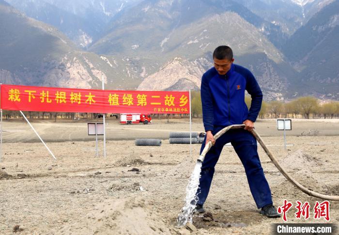 林芝市巴宜區(qū)森林消防中隊志愿服務隊澆水灌溉?！∥骼@拉翁 攝